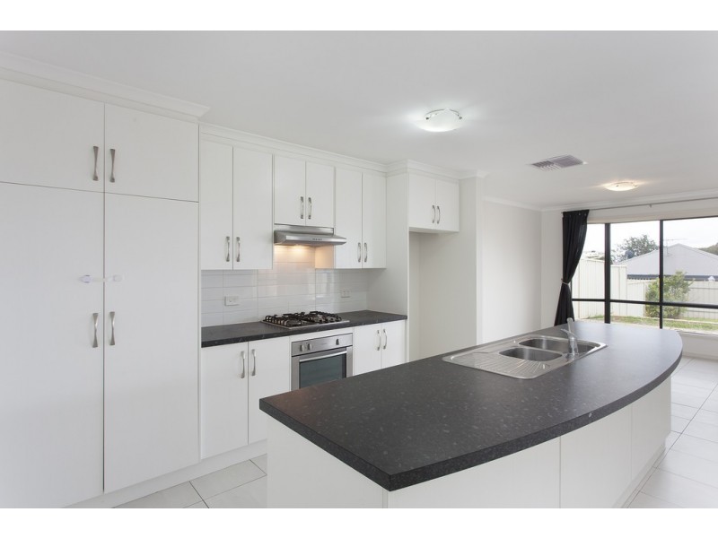 19 Ramsay Avenue, Seacombe Gardens SA 5047