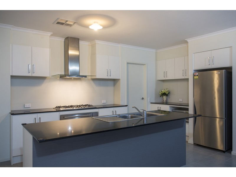 50 Dwyer Road, Oaklands Park SA 5046