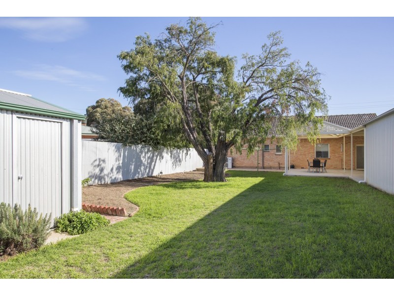 17 Baker Avenue, Morphettville SA 5043