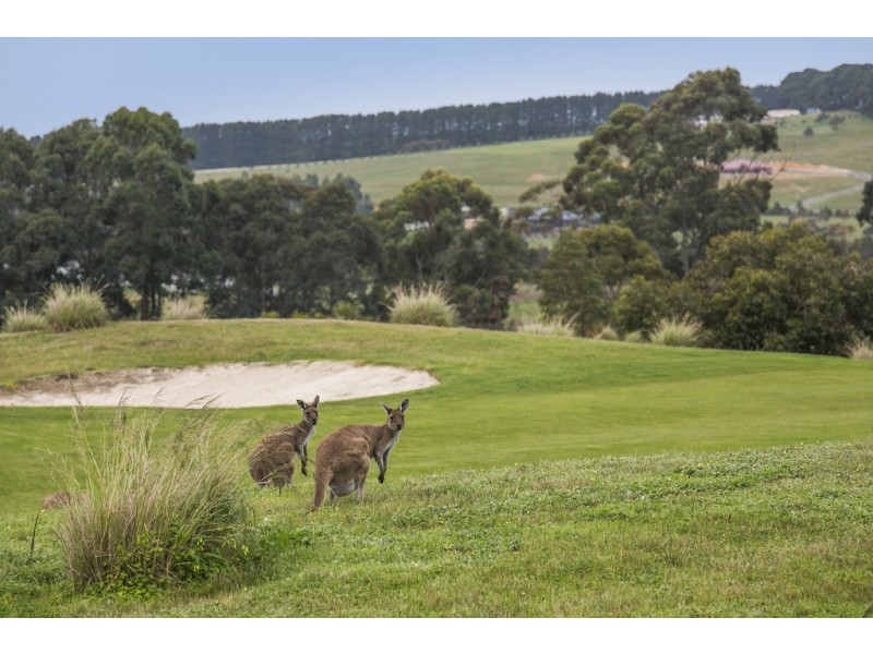 22 George Francis Drive, Mount Compass SA 5210