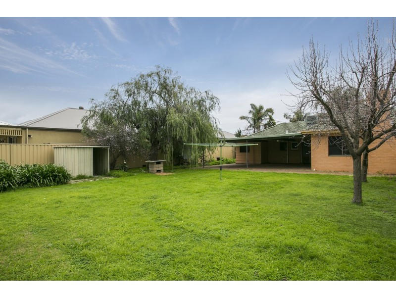 18 Livingstone Street, Glengowrie SA 5044