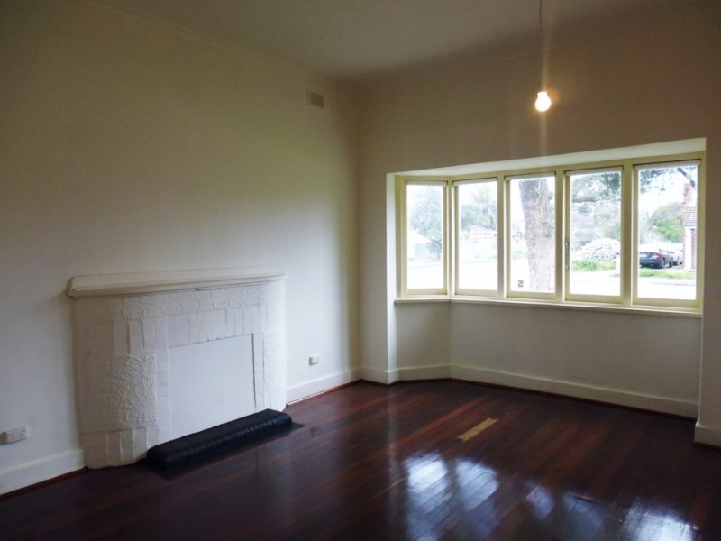 41 Nelson Street, South Plympton SA 5038