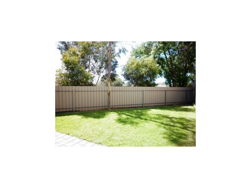 36 Birkalla Terrace, Plympton SA 5038