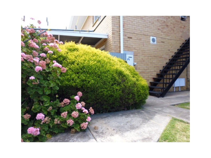 2/68 Argyle Avenue, Marleston SA 5033