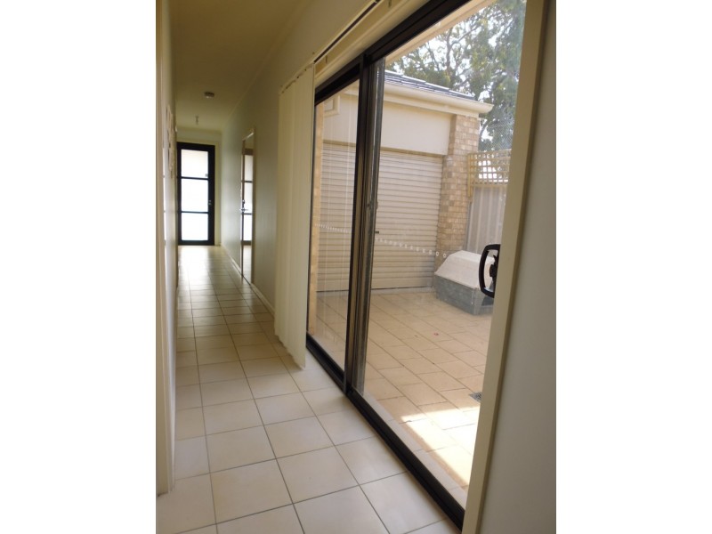 10 Ragless Avenue, Park Holme SA 5043