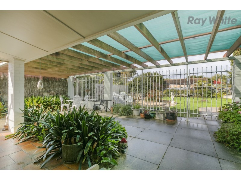 6 Coralie Street, Plympton SA 5038