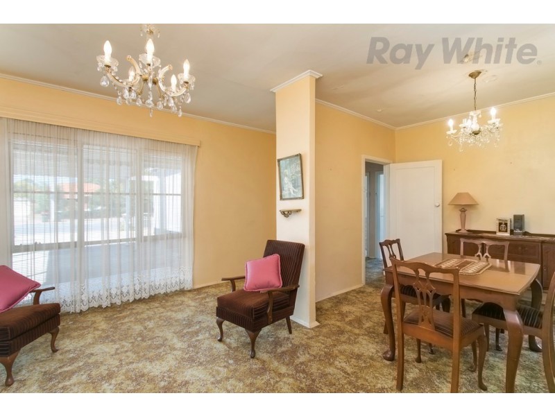 176 Raglan Avenue, South Plympton SA 5038