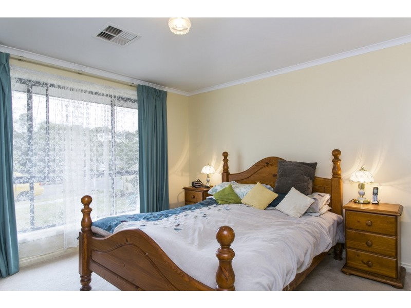 20A Cobham Avenue, Morphettville SA 5043