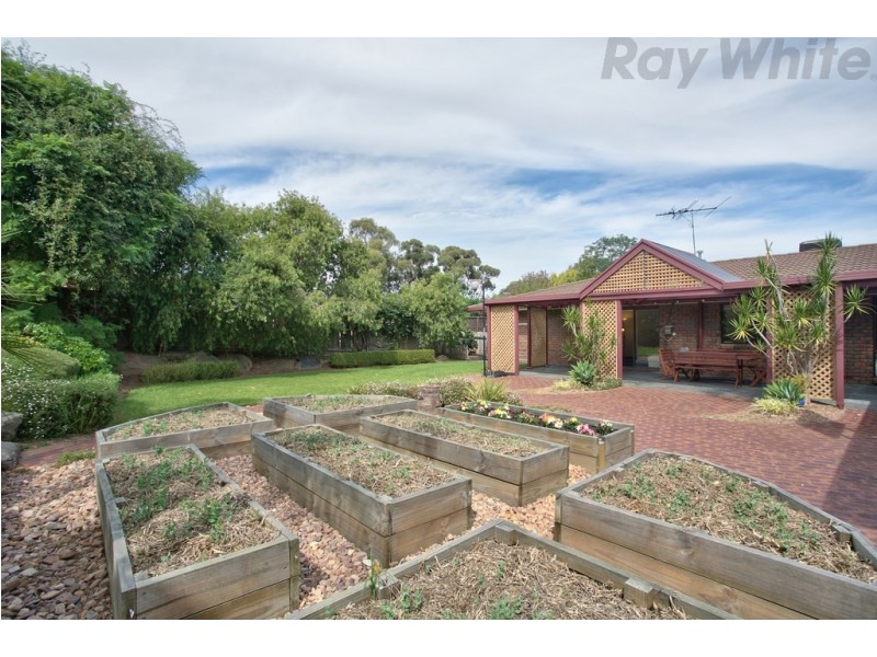 4 Shah Court, Flagstaff Hill SA 5159