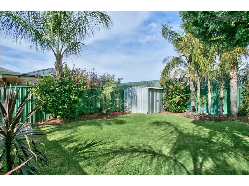22A Melville Street, South Plympton SA 5038
