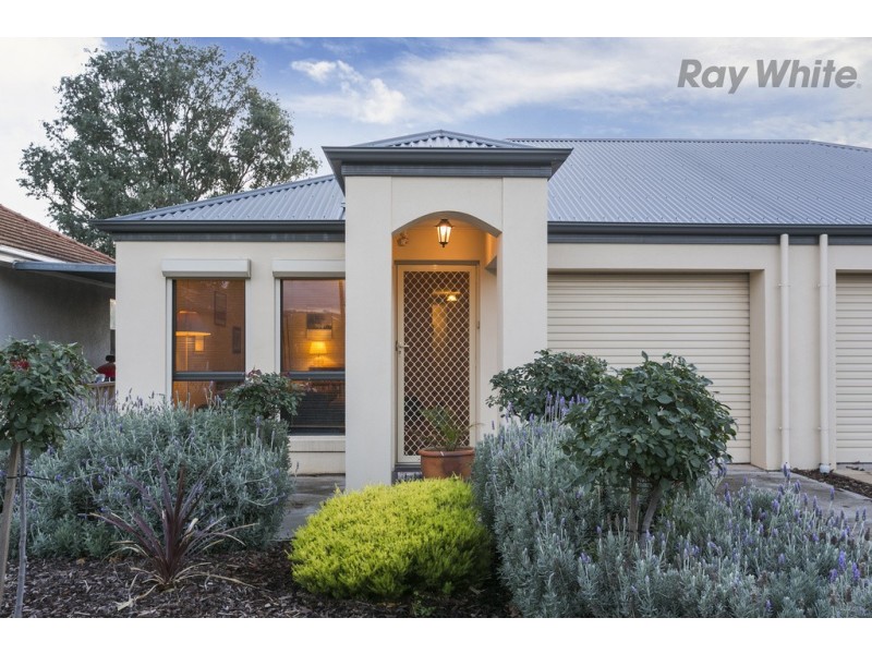 30 Allambee Avenue, Edwardstown SA 5039