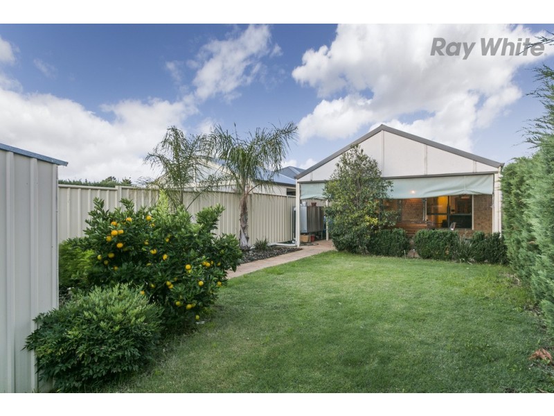 30 Allambee Avenue, Edwardstown SA 5039
