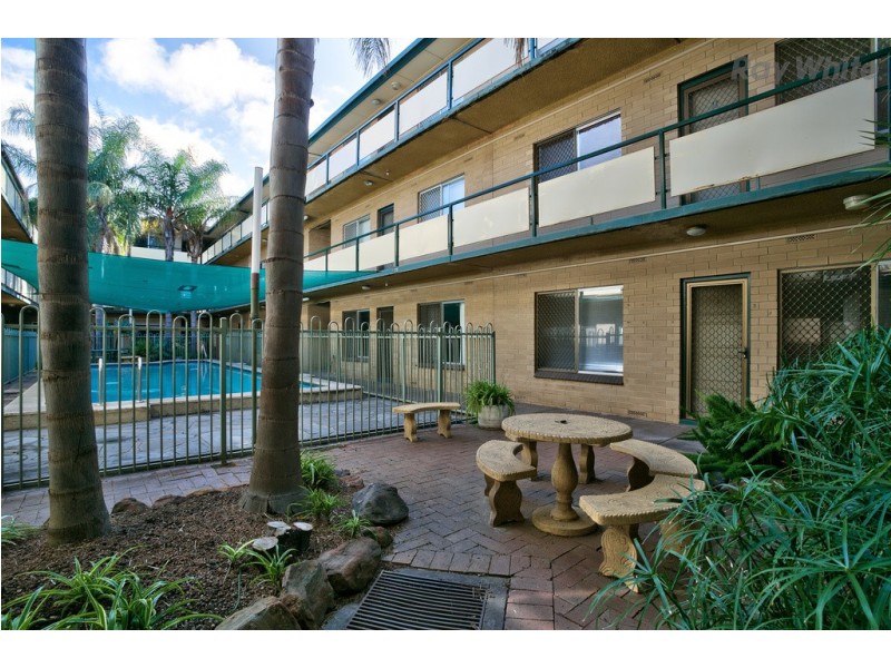 4/127 Anzac Highway, Kurralta Park SA 5037