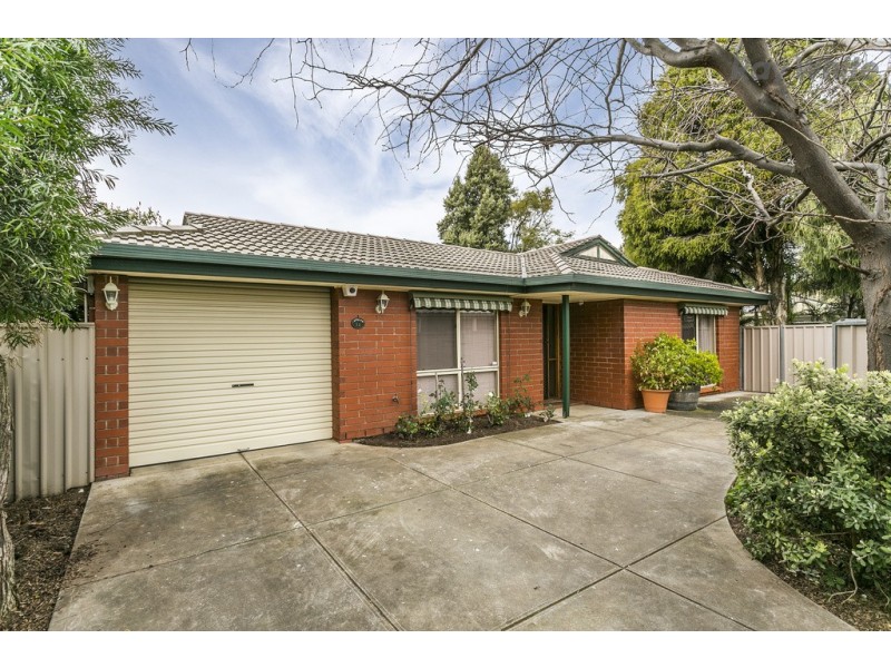 1A Theodore Street, Edwardstown SA 5039