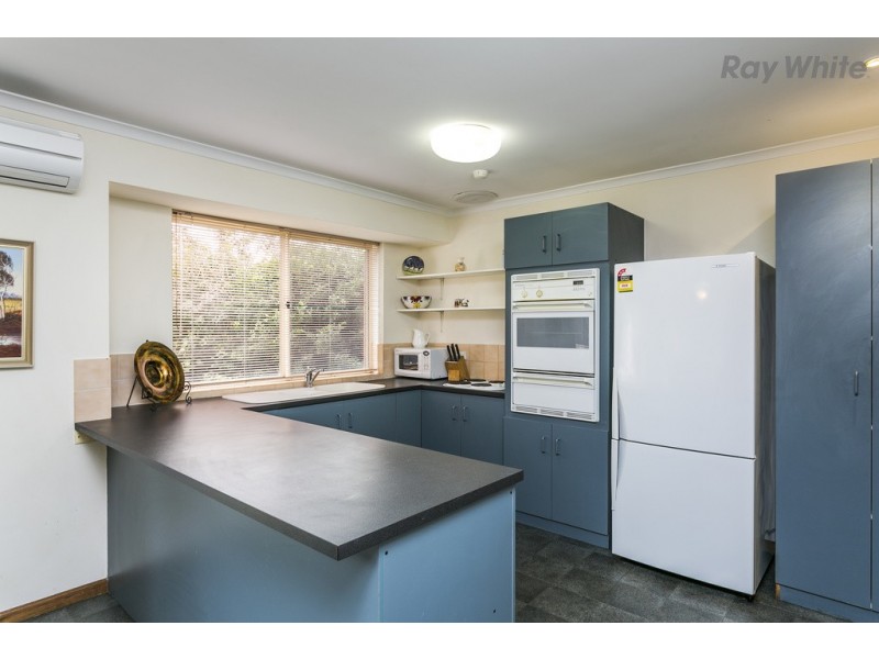 1A Theodore Street, Edwardstown SA 5039