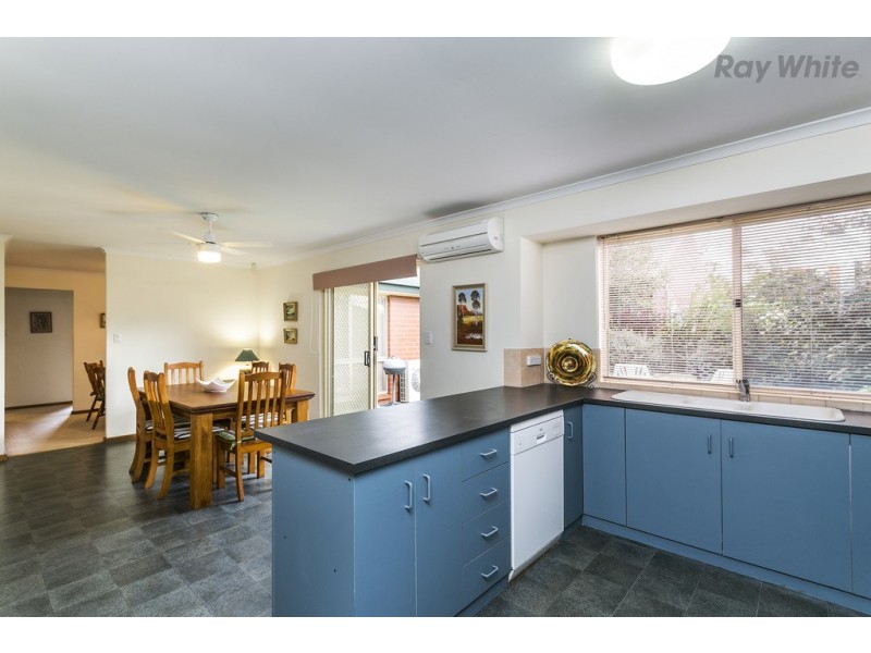 1A Theodore Street, Edwardstown SA 5039