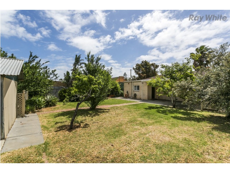 20 Tarranna Avenue, Park Holme SA 5043