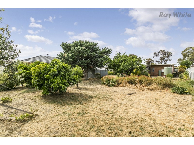 23 Allchurch Avenue, North Plympton SA 5037