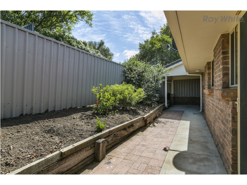 2/11 Ramsey Street, Netley SA 5037