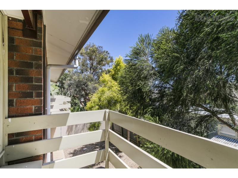 4/3 Clayton Avenue, Plympton SA 5038