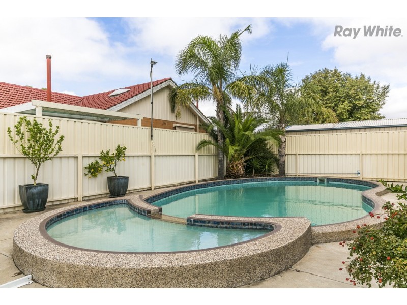 87 Morphett Road, Camden Park SA 5038