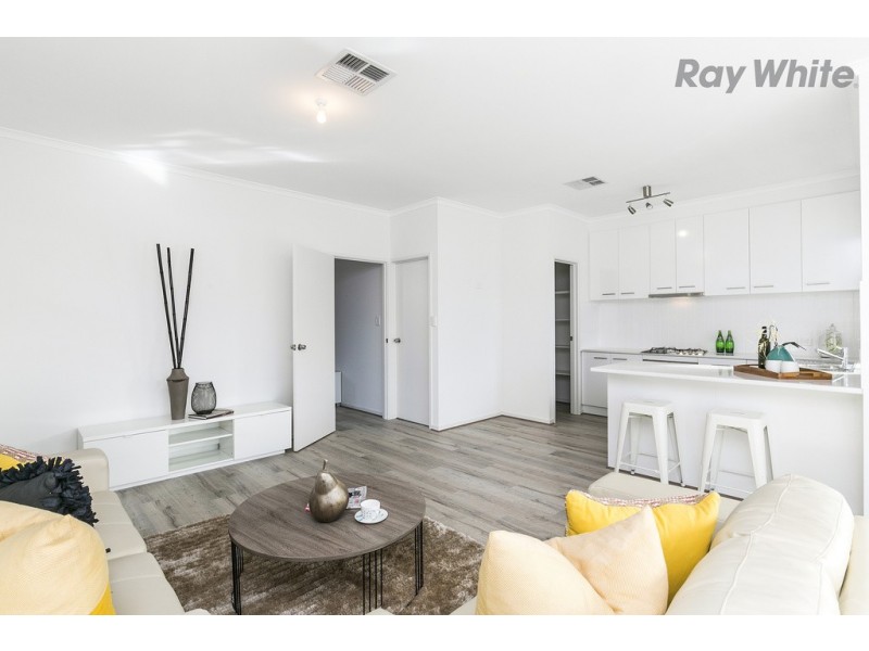 5 Rellum Street, Glengowrie SA 5044