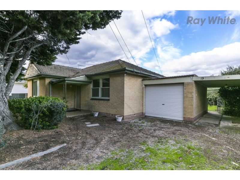 19 Allambee Avenue, Edwardstown SA 5039