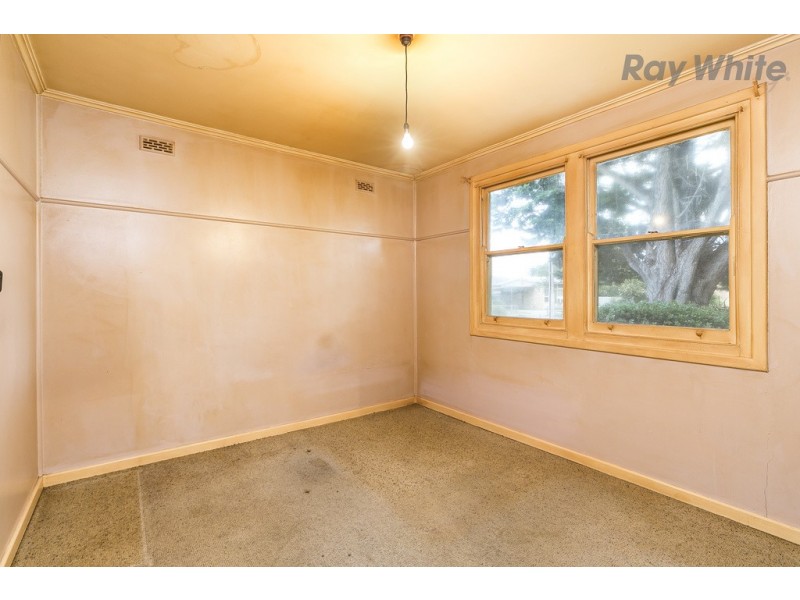 19 Allambee Avenue, Edwardstown SA 5039