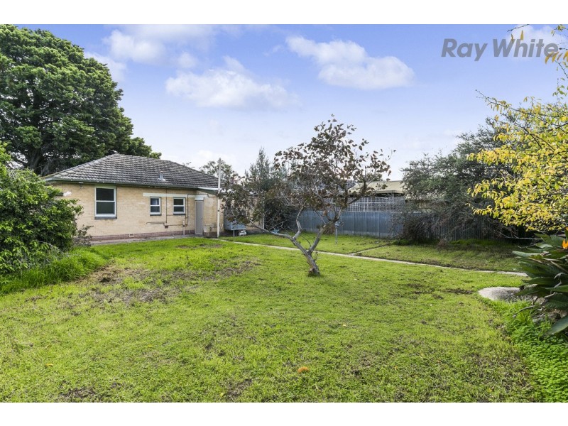 19 Allambee Avenue, Edwardstown SA 5039