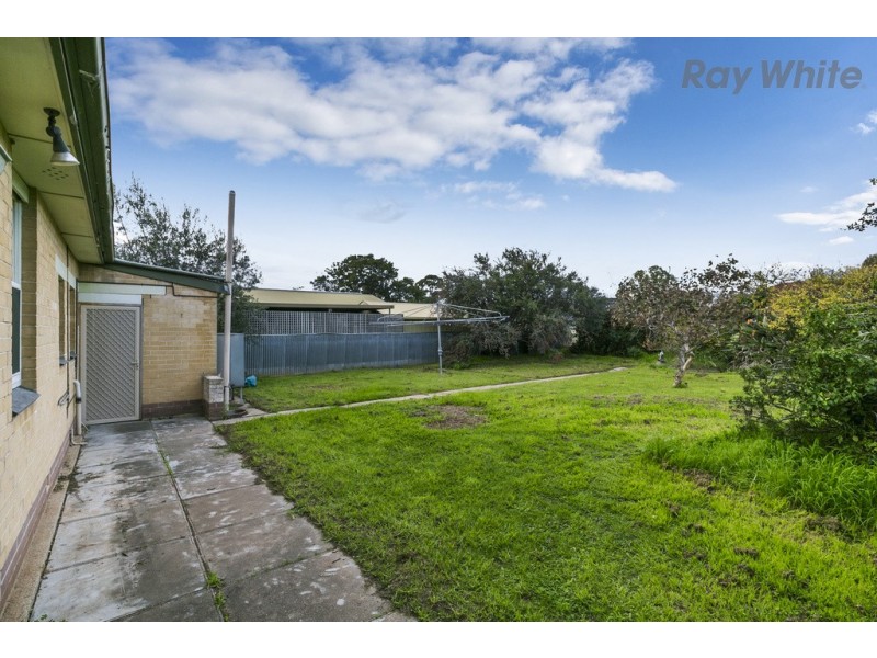 19 Allambee Avenue, Edwardstown SA 5039