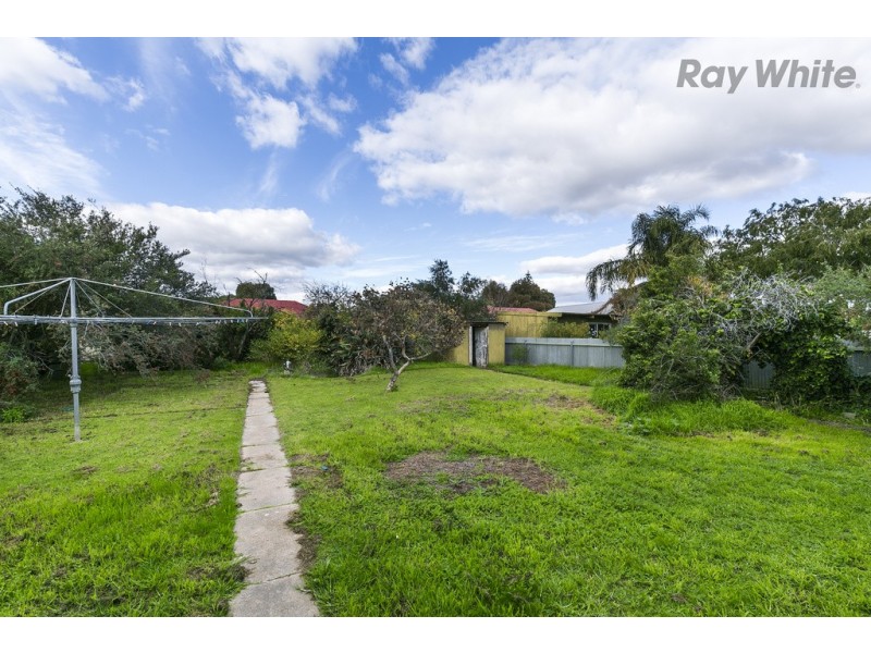 19 Allambee Avenue, Edwardstown SA 5039