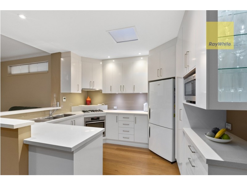 8 Netherby Avenue, Plympton SA 5038