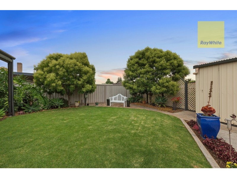 8 Netherby Avenue, Plympton SA 5038