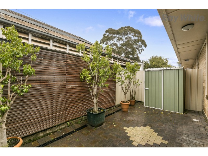 3/36 Warwick Avenue, Kurralta Park SA 5037