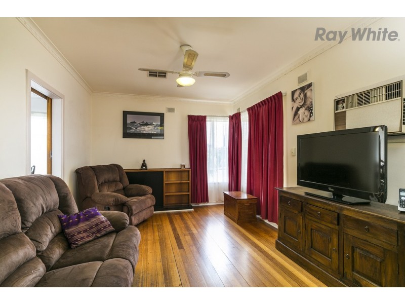 66 Melville Street, South Plympton SA 5038