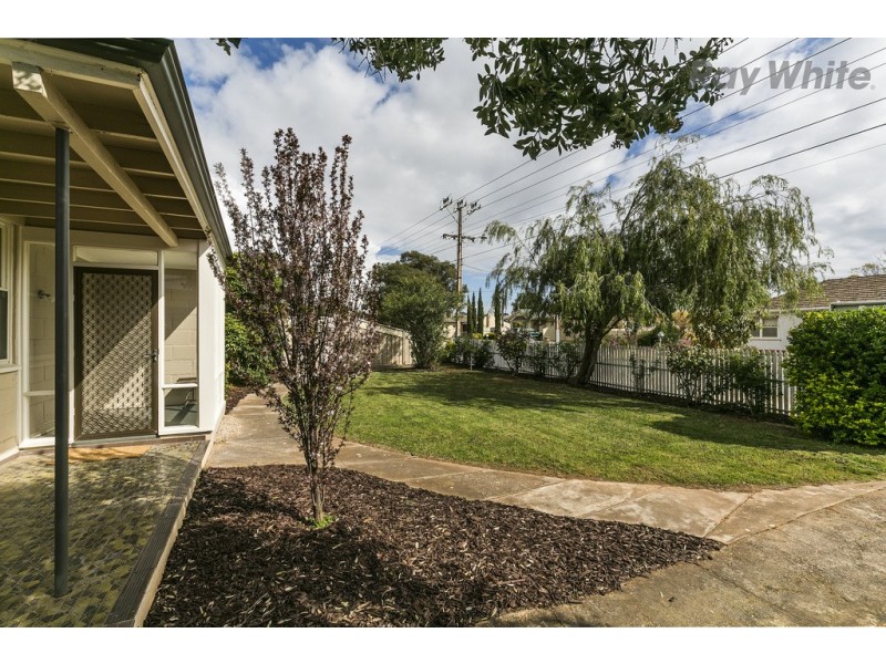 43 Johnstone Road, Oaklands Park SA 5046