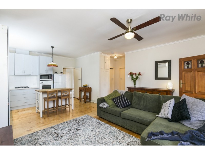 14 Lynton Avenue, South Plympton SA 5038