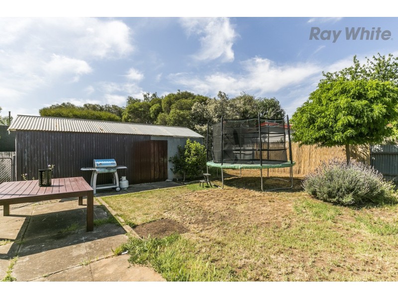 14 Lynton Avenue, South Plympton SA 5038