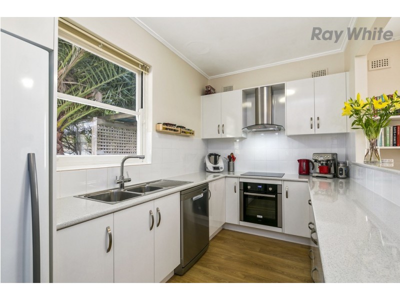 24 Nelson Street, South Plympton SA 5038