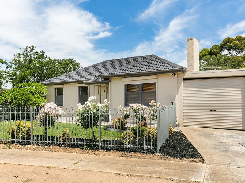 3 Asher Street, Mitchell Park SA 5043