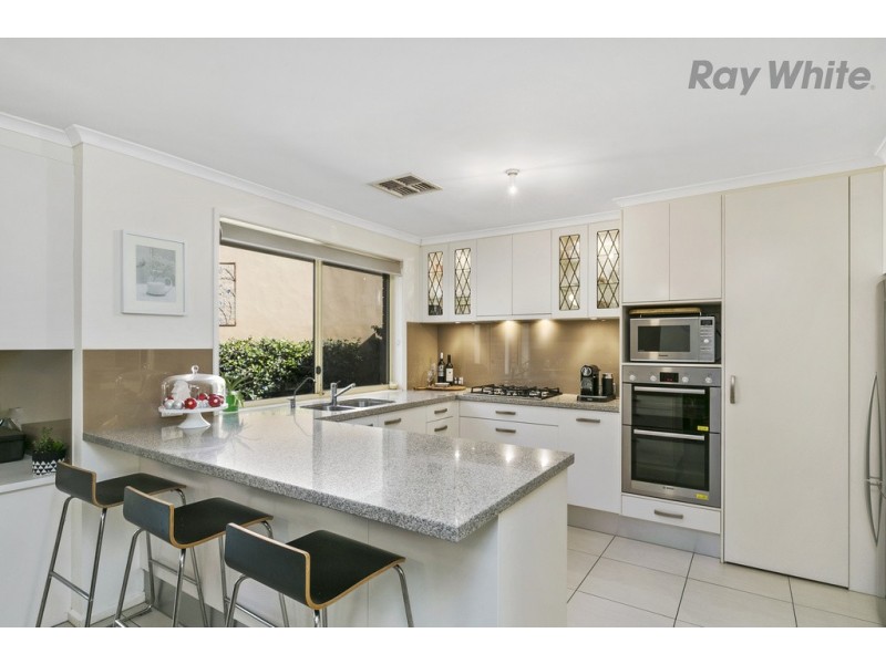 1A Morphett Road, Camden Park SA 5038