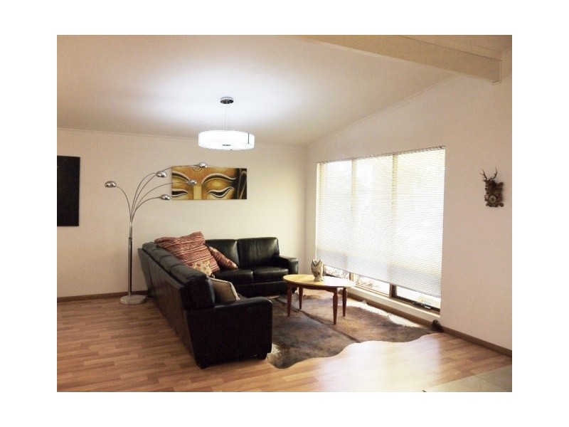 50 St Lawrence Avenue, Edwardstown SA 5039