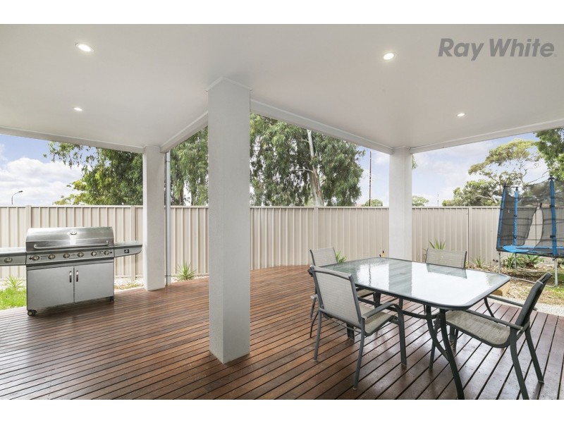 67 Beadnall Terrace, Glengowrie SA 5044