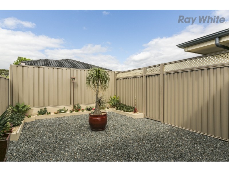 1B Neston Avenue, North Plympton SA 5037