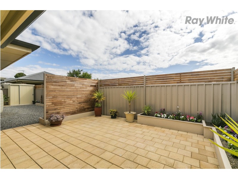 1B Neston Avenue, North Plympton SA 5037