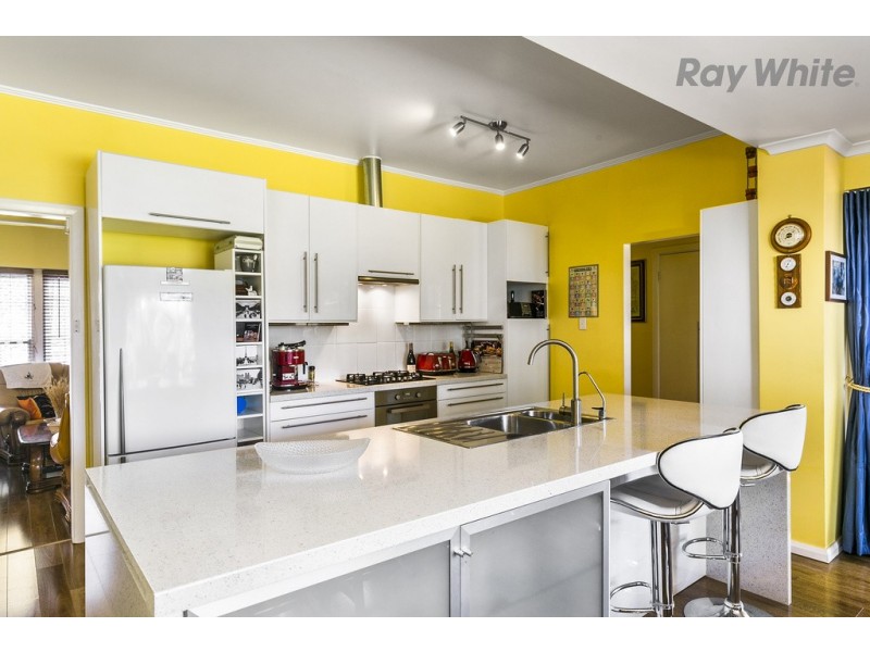 22 Raffles Crescent, Plympton SA 5038