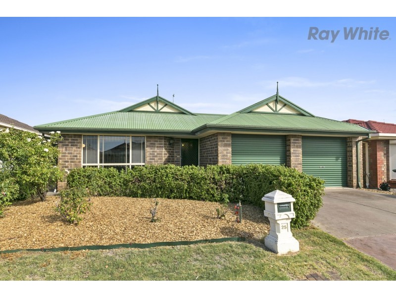 25 Arnold Drive, Mitchell Park SA 5043