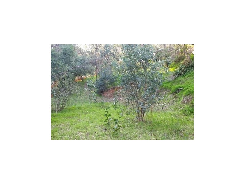 2 Kookaburra Place, Belair SA 5052