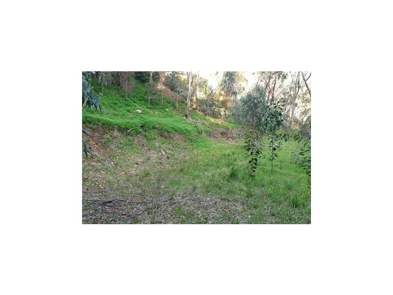 2 Kookaburra Place, Belair SA 5052