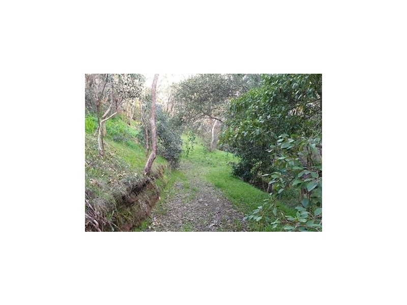 2 Kookaburra Place, Belair SA 5052